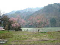  dscf0731.jpg 