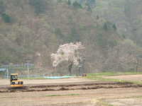  dscf0733.jpg 