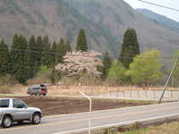  dscf0734.jpg 