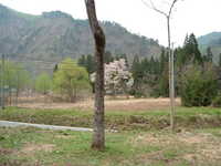  dscf0735.jpg 