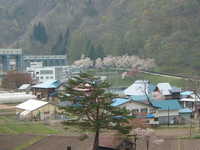  dscf0736.jpg 