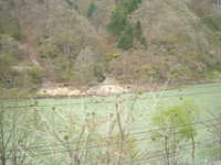  dscf0737.jpg 
