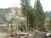  dscf0741.jpg 