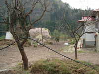  dscf0749.jpg 