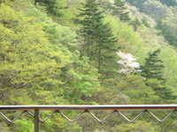  dscf0758.jpg 