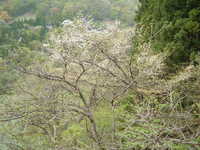  dscf0760.jpg 