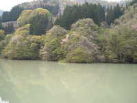  dscf0763.jpg 