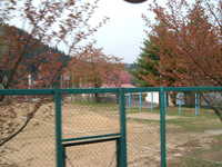  dscf0764.jpg 