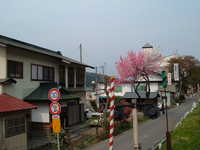  dscf0767.jpg 