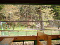  dscf0770.jpg 
