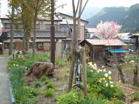  dscf0776.jpg 