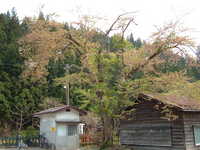  dscf0777.jpg 