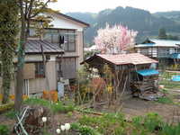  dscf0778.jpg 