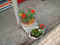  dscf0779.jpg 