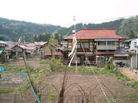  dscf0781.jpg 