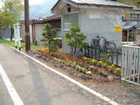  dscf0782.jpg 