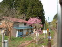  dscf0805.jpg 