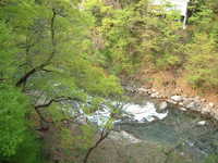  dscf0807.jpg 