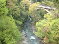  dscf0808.jpg 