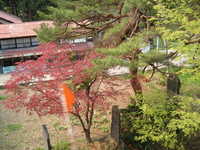  dscf0809.jpg 