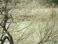  dscf0811.jpg 