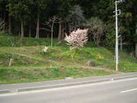  dscf0815.jpg 