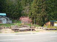  dscf0816.jpg 