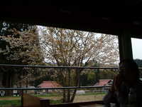  dscf0818.jpg 