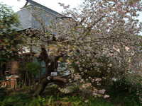  dscf0820.jpg 
