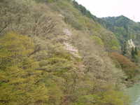  dscf0823.jpg 