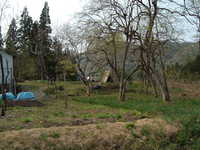  dscf0824.jpg 
