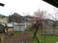  dscf0826.jpg 