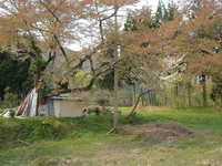  dscf0835.jpg 