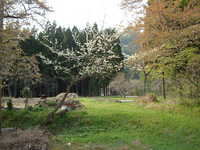  dscf0836.jpg 