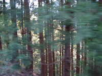  dscf0837.jpg 