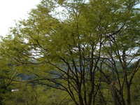  dscf0838.jpg 