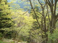  dscf0839.jpg 