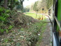  dscf0843.jpg 