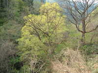  dscf0845.jpg 