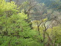  dscf0846.jpg 