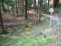  dscf0847.jpg 