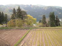  dscf0848.jpg 