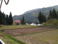  dscf0849.jpg 