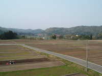  dscf0850.jpg 