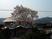  dscf0853.jpg 