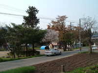  dscf0854.jpg 