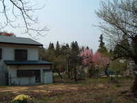  dscf0855.jpg 