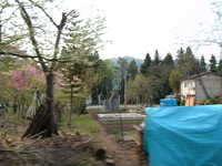  dscf0856.jpg 