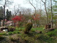  dscf0857.jpg 