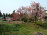  dscf0859.jpg 